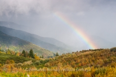 Estrela Mountain´s landscape