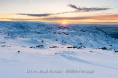 Winter landscape at Estrela Mountain