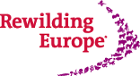 Rewilding Europe