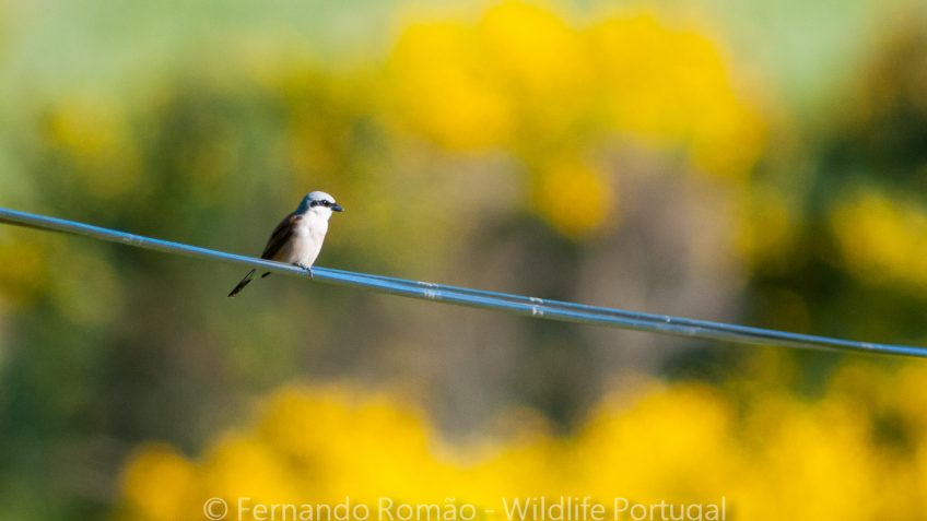 Nature, Photography and Tourism