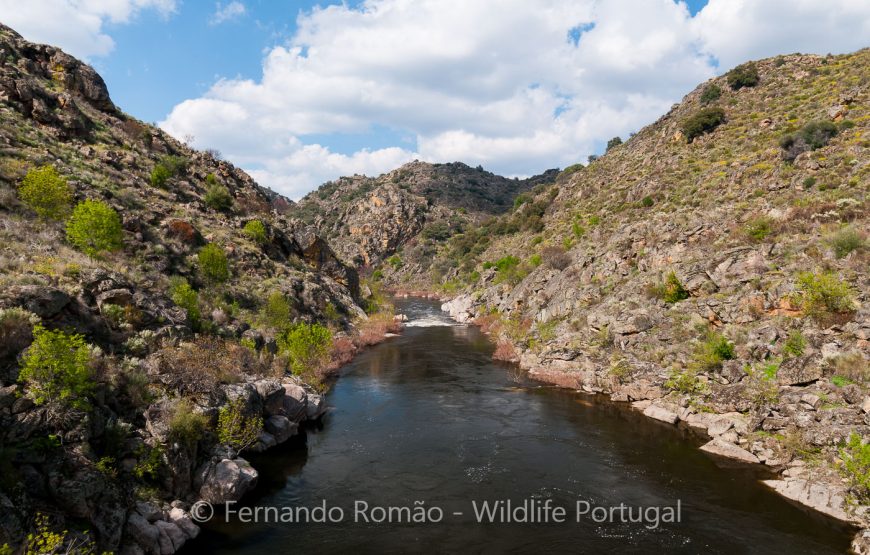 The Greater Côa Valley Expedition