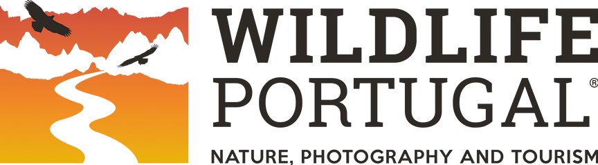 Nature, Photography and Tourism