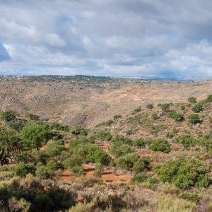Faia Brava Reserve