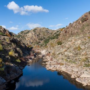 Côa River through Faia Brava Reserve
