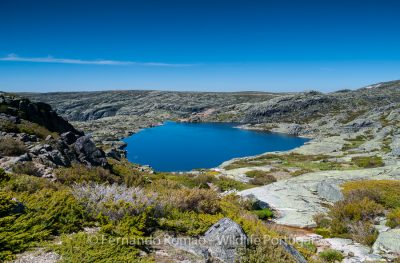 Serra da Estrela Nature Park