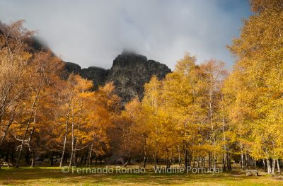 Serra da Estrela - Passeio Fotográfico