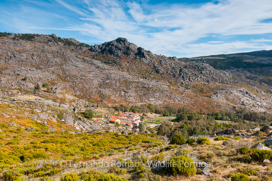 Arnal - Alvão Nature Park