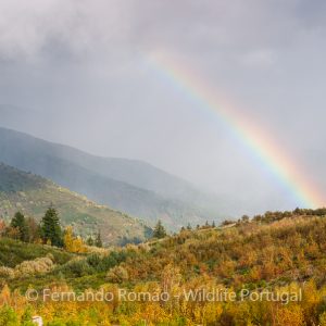 Estrela Mountain´s landscape