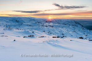 Sunset at Estrela Mountain Sunset at Estrela Mountain