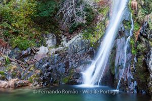 Waterfall at Estrela Mountain Waterfall at Estrela Mountain