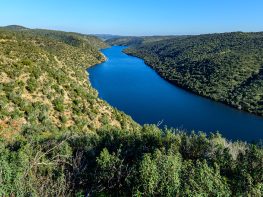 Tejo International Natural Park