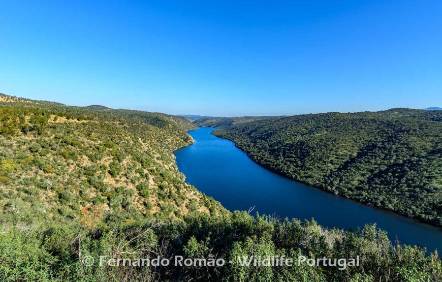 Passeio de natureza no Geopark Naturtejo