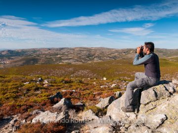 Nature, Photography and Tourism