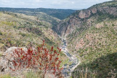 Águeda River Valley