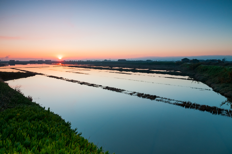 Mondego Estuary Saltpans