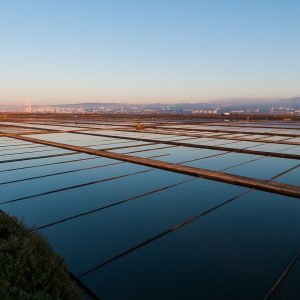 Mondego Estuary Saltpans