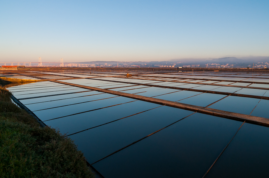 Mondego Estuary Saltpans