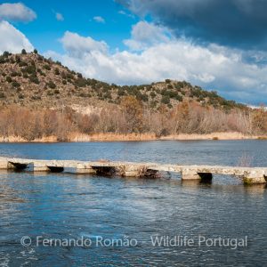 Côa River near Castelo Mendo