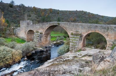 Old bridge over Coa River Old bridge over Coa River