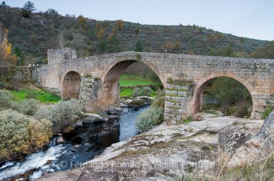 Old bridge over Coa River