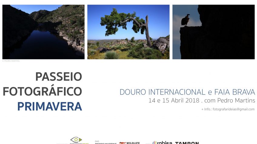 Primavera_Douro Internacional 2018