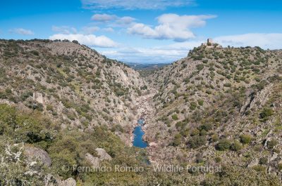 Erges River canyon Erges River canyon