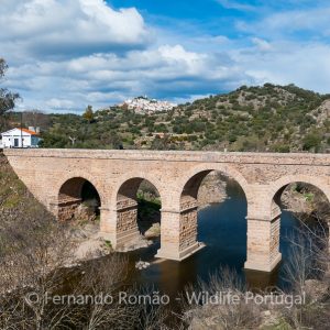 Segura Roman Bridge