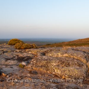 Serra das Mesas