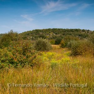 Serra da Malcata Nature Reserve