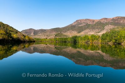 Rio Douro Outono no Douro Internacional