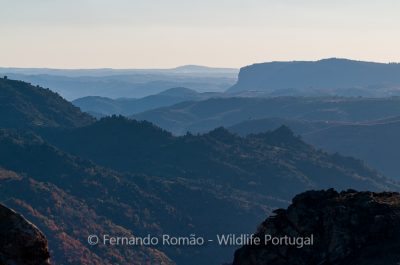 Relevo do Douro Internacional