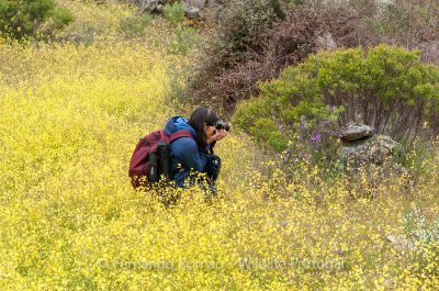 Douro Photo Tour