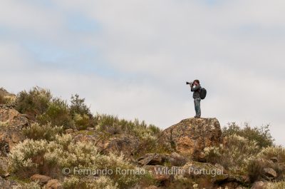 Douro Photo Tour