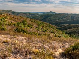 Malcata Mountain Natural Reserve