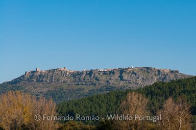 Marvão Marvão