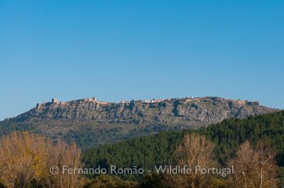 Marvão