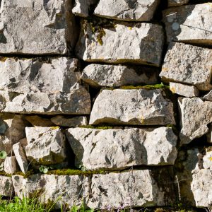 Nature Tours & Wildlife Photography