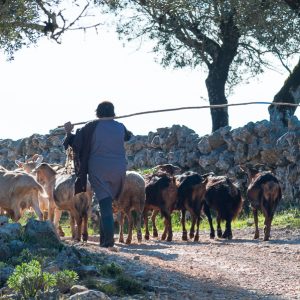 Nature Tours & Wildlife Photography