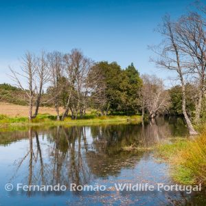 Côa River - Malcata Reserve