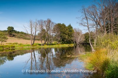 Côa River - Bosques e prados da Malcata