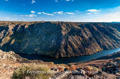 Douro International Douro International