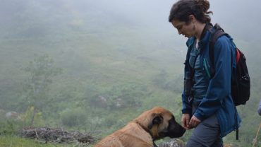 rewilding portugal