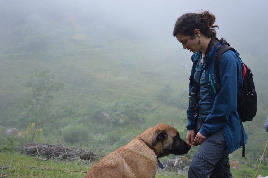 rewilding portugal