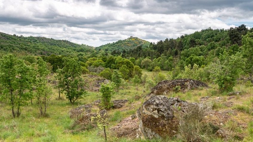 Vale Carapito Rewilding area