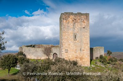 Vilar Maior castle