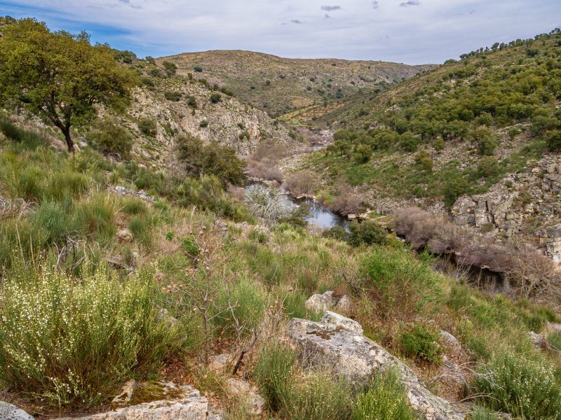 The Greater Coa Valley