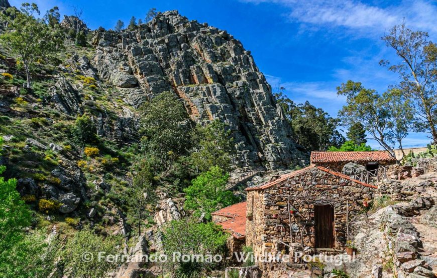 Passeio de natureza no Geopark Naturtejo