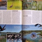 Vogel Magazin
