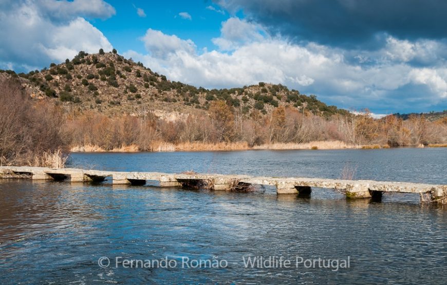 The Greater Côa Valley Expedition