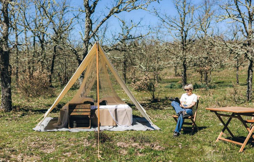 Safari Experience in the Greater Côa Valley